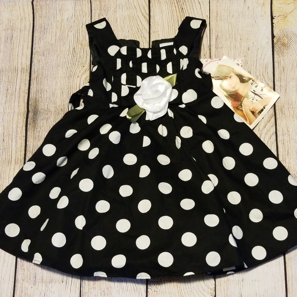Sweet Heart Rose 2T Polka Dot Dress